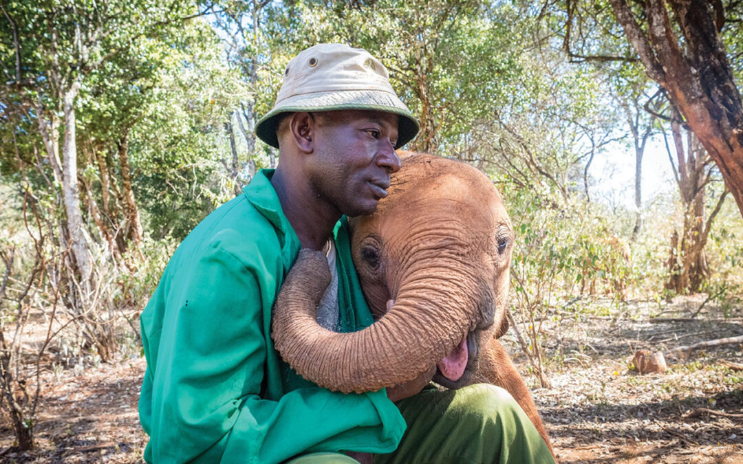 HUMANITARIAN: Elephants Transform Humans