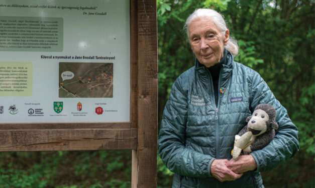 LIFE DISTINCTION: Dame Dr.Jane Goodall